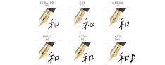 Sailor Professional Gear Realo - Penna Stilografica Nera - Finiture dorate