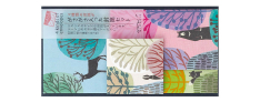 Midori - Set Buste in Quattro Dimensioni - Fantasie Animali