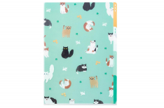 Midori - 3 Pockets Clear Folder A4 - Gatti