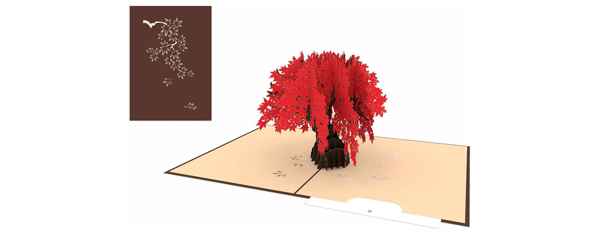 Origamo - Biglietto...