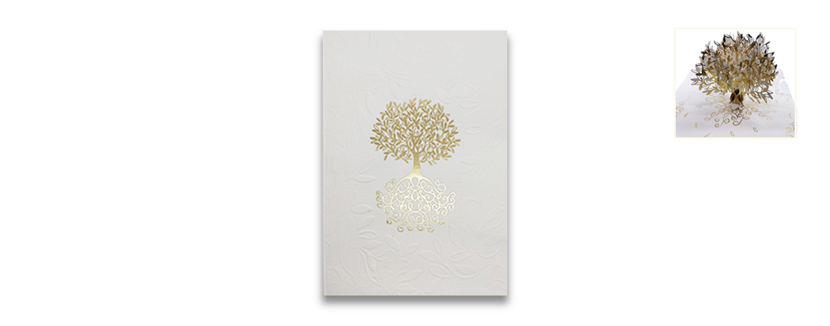 Origamo - Biglietto...